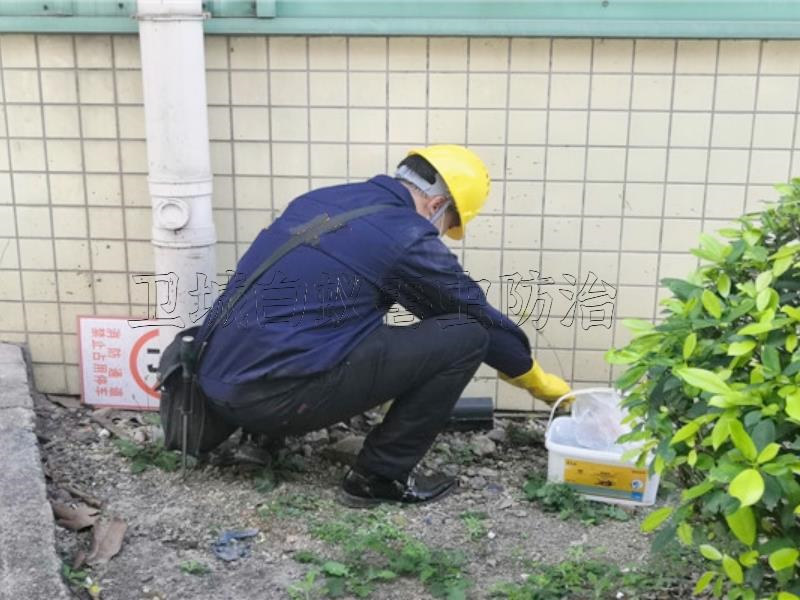 塘厦除四害，凤岗清溪灭鼠灭蟑螂公司，樟木头工厂杀臭虫