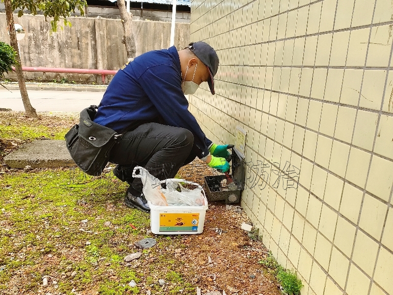 凤岗除四害公司，凤岗专业灭鼠公司，凤岗杀老鼠