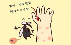 东莞凤岗杀虫公司-又到蚊虫多发季节,如何灭蚊,防蚊呢
